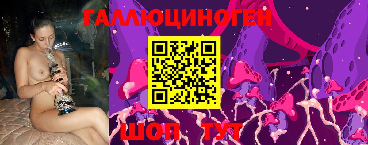 Галлюциногенные грибы Psilocybe  Псилоцибиновые грибы прущие грибы  Вышний Волочёк  Вход с VPN 