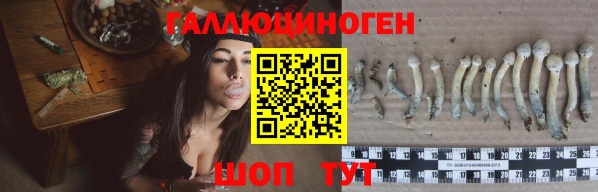 Галлюциногенные грибы Magic Shrooms Вышний Волочёк
